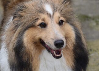 Po co są dziurki w crocsach?