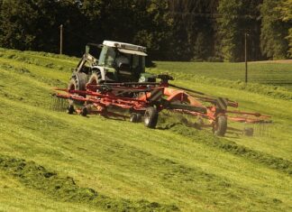 Co jeść aby odbudować florę bakteryjną jelit?