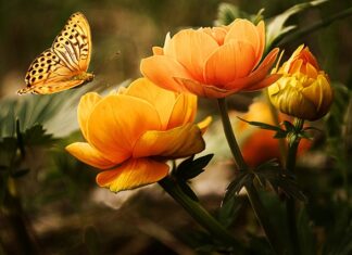 Co daje nie mycie twarzy rano?