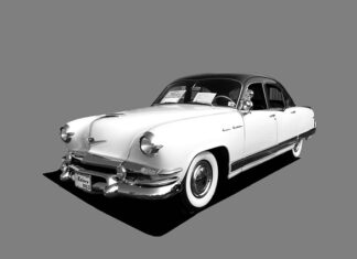 Co jeść żeby odbudować florę bakteryjną?