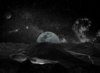 Jak wzmocnić układ immunologiczny u dorosłych?