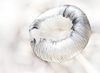 Jak zmyć kreski z oczu?