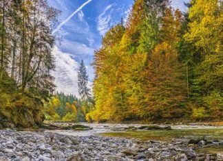 Czy olej rycynowy jest dobry na przebarwienia?