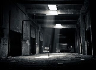 Jaka maska na zniszczone włosy?