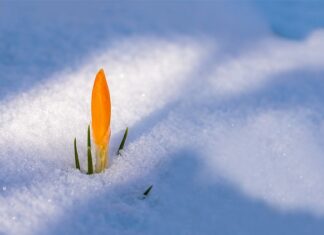 Czy libero może przebić piłkę?
